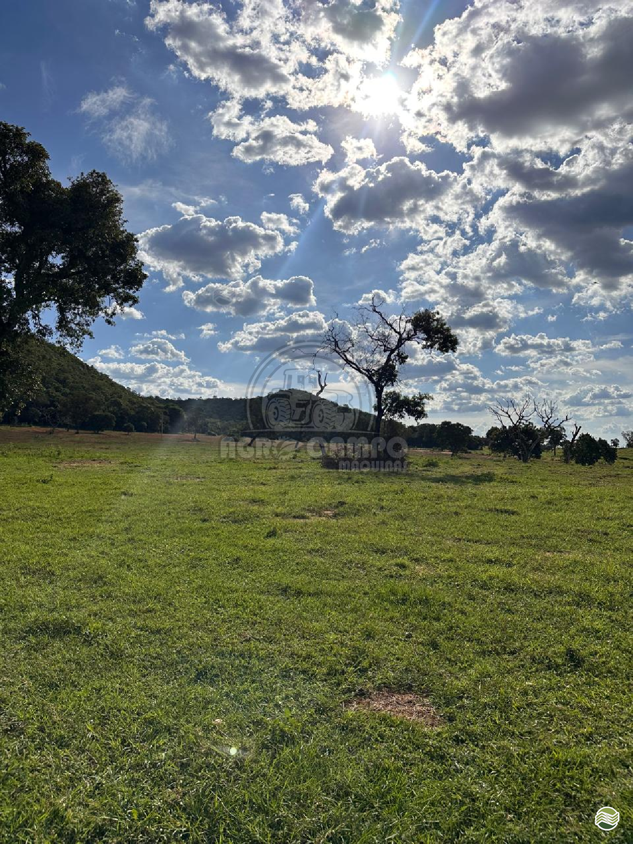 IMOVEIS IMÓVEIS FAZENDAS Agro Campo Máquinas Agrícolas PRIMAVERA DO LESTE MATO GROSSO MT